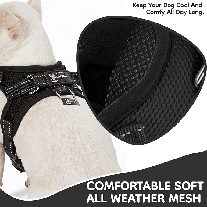No Pull Reflective Adjustable Dog Harness With Handle- Comfortable Soft All Weather Mesh, Easy On Puppy Harness For Small Medium and Large Dogs (Black) X-Small