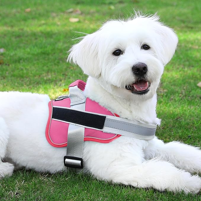 Dog Harness, No-Pull Reflective Dog Vest, Breathable Adjustable Pet Harness with Handle for Outdoor Walking - No More Pulling, Tugging or Choking (Fuchsia, Medium (Pack of 1))