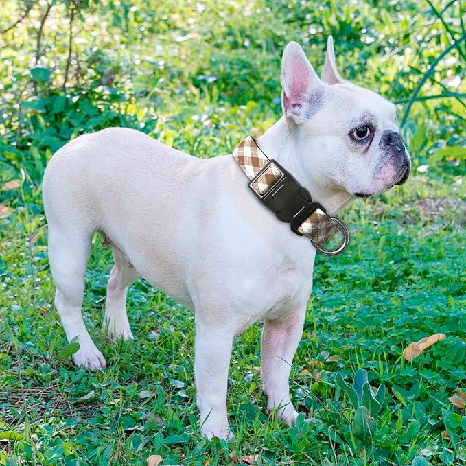 Ladoogo Reflective Dog Collar Padded with Soft Neoprene Breathable Adjustable Nylon Dog Collars for Small Medium Large Dogs (Large (Pack of 1), Vanilla Plaid Collar+Leash)