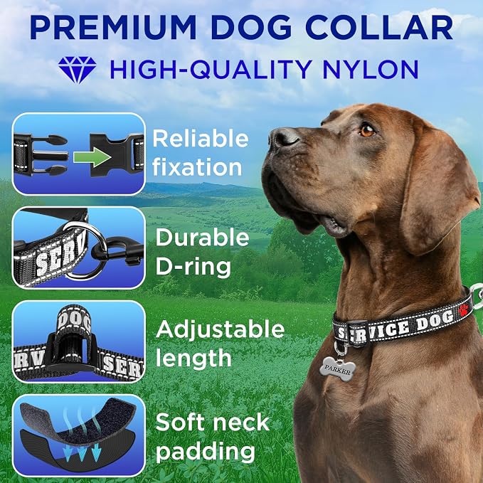 TECEUM Reflective Pet Collar – Black - Service Dog – XL – Extra Soft Padding – Basic Nylon Dog Collar – Quick Release Buckle – Fits Small, Medium and Large Dogs, Puppies, Cats