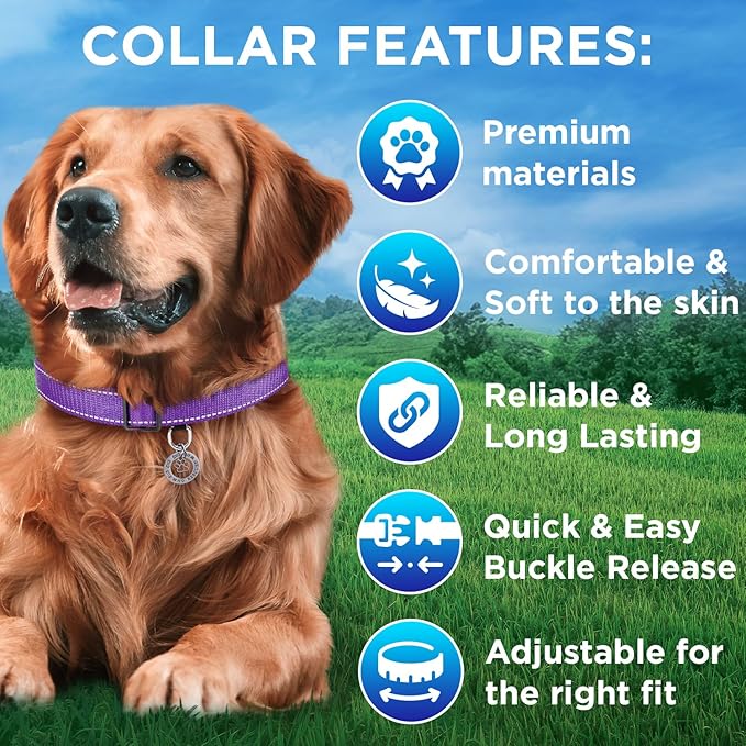 TECEUM 3 Pack Reflective Dog Collar – Purple&Red&Teal – M – Extra Soft Padding – Basic Nylon Pet Collar