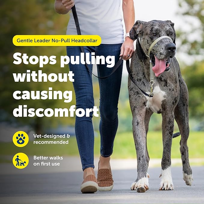 PetSafe Gentle Leader No-Pull Dog Headcollar - The Ultimate Solution to Pulling - Redirects Your Dog's Pulling for Easier Walks - Helps You Regain Control - X-Large, Black
