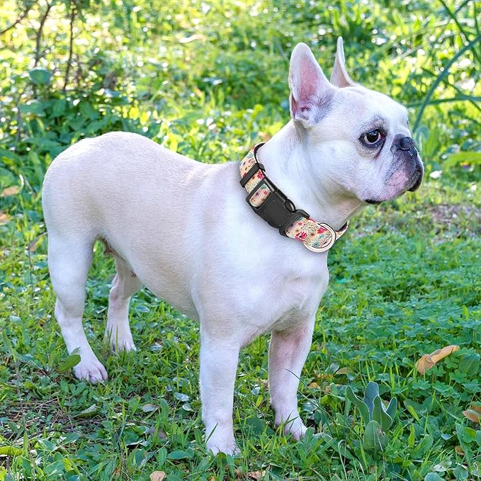 Ladoogo Reflective Dog Collar Padded with Soft Neoprene Breathable Adjustable Nylon Dog Collars for Small Medium Large Dogs (Medium (Pack of 1), Vanila/Pink Floral Collar+Leash)
