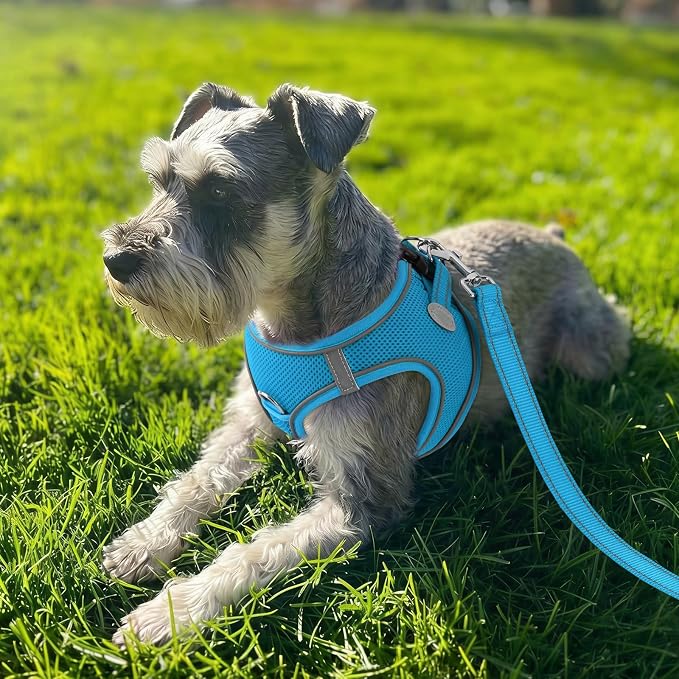 Joytale Small Dog Harness, Breathable Mesh Step-in Vest, Reflective Soft Padded Harnesses for Small and Medium Dogs, Sky Blue, L