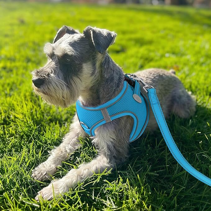 Joytale Small Dog Harness, Breathable Mesh Step-in Vest, Reflective Soft Padded Harnesses for Medium Dogs, Sky Blue, XL