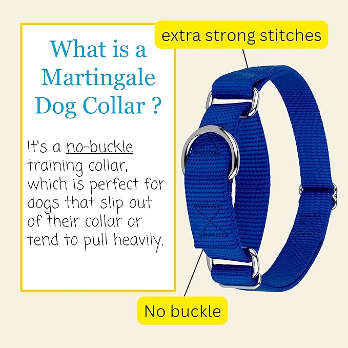 Country Brook Petz - Martingale Dog Collar - Heavy-Duty Training Collar with No Buckle - Service Dog Collar for All Pups - 20 Vibrant Colors (Royal Blue, 3/4 Inch, Small)