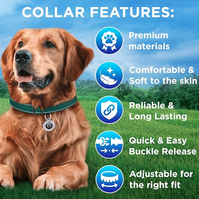 TECEUM Reflective Dog Collar – Dark Emerald Green – XS – Extra Soft Padding – Basic Nylon Pet Collar – Quick Release Buckle – Fits Small, Medium and Large Dogs, Puppies, Cats