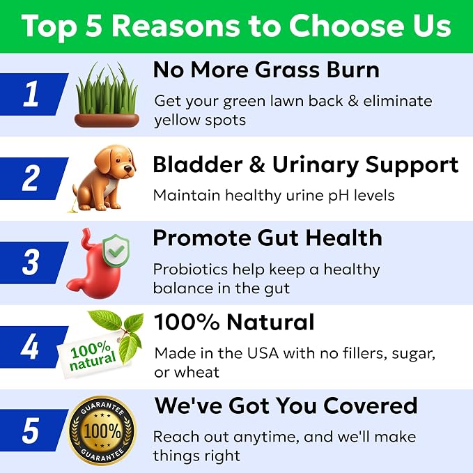 BARK&SPARK Green Grass Dog Chews – Dog Pee Grass & Urine Neutralizer for Lawn, Grass Burn Spot Chews with Probiotics & Enzymes, Helps Reduce Lawn Burn from Dog Urine (120 Soft Chews)