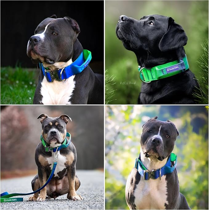 Spark Paws Tactical Dog Collar - Heavy Duty, Premium Quality, Thick and Durable for Large and Medium Dogs - Lime Wave - M