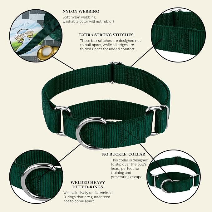 Country Brook Petz - Martingale Dog Collar - Heavy-Duty Training Collar with No Buckle - Service Dog Collar for All Pups - 20 Vibrant Colors (Green, 3/4 Inch, Small)
