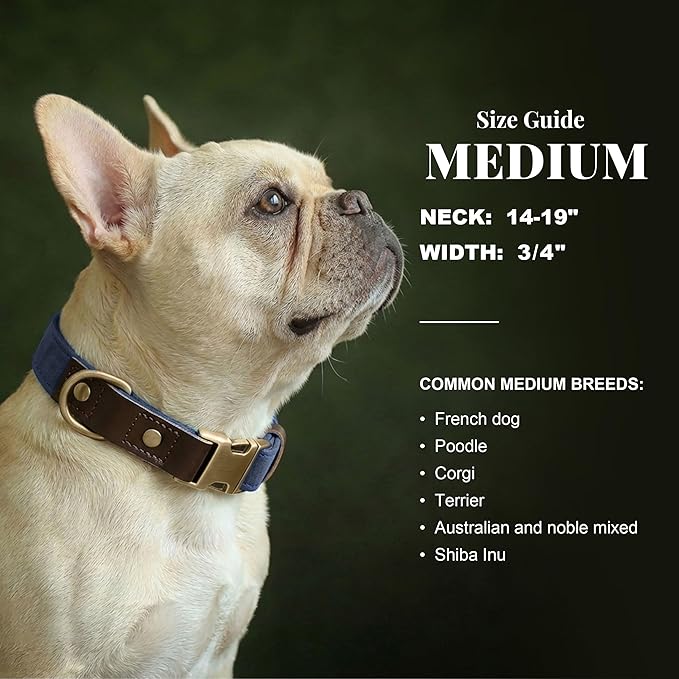 Didog Soft PU Leather Dog Collars for Medium Dogs,Classic Adjustable Dog Collars with Quick Release Metal Buckle,Easy Clean and Comfortable with Nylon Lining,Blue,M Neck 14-19"