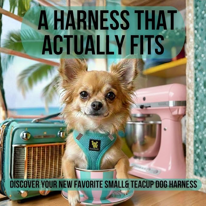 EcoBark Teacup Dog Harness - Luxury Step in Mesh Dog Harnesses in Mint Turquoise