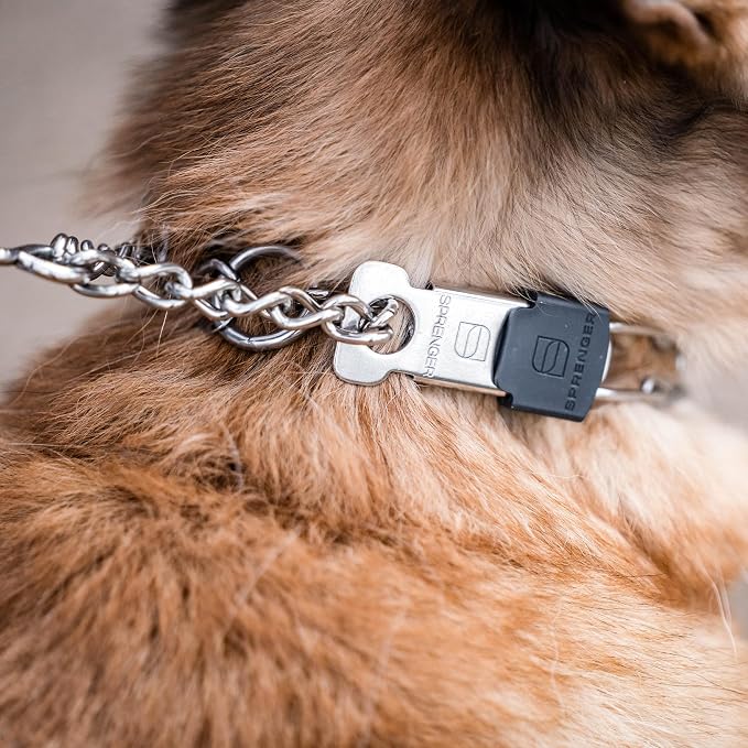 Herm Sprenger Stainless Steel Dog Collar with Short Links and Quick Release ClicLock Buckle Made in Germany (Stainless Steel, 20in x 3.0mm (Neck Size up to 16-17in))
