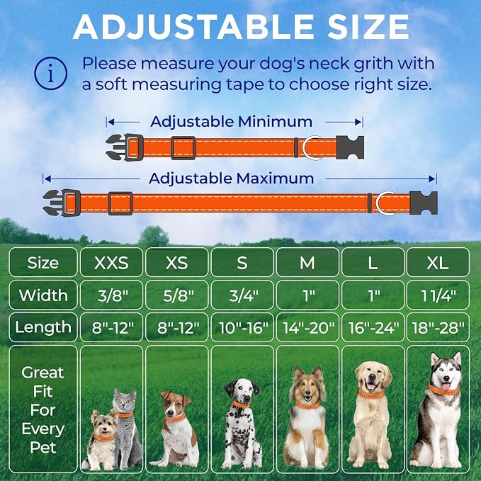 TECEUM Reflective Dog Collar – Orange – XL – Extra Soft Padding – Basic Nylon Pet Collar – Quick Release Buckle – Fits Small, Medium and Large Dogs, Puppies, Cats – ESA & Service Dog Options