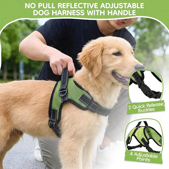 No Pull Reflective Adjustable Dog Harness with Handle- Comfortable Soft All Weather Mesh, Easy On Puppy Harness for Small Medium and Large Dogs (Green) Small