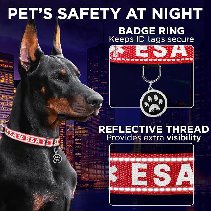 TECEUM Reflective Pet Collar – Red - ESA – M – Extra Soft Padding – Basic Nylon Dog Collar – Quick Release Buckle – Fits Small, Medium and Large Dogs, Puppies, Cats – ESA & Service Dog Options