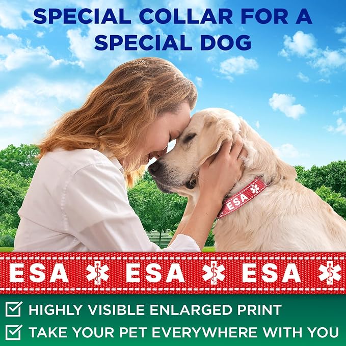 TECEUM Reflective Pet Collar – Red - ESA – XL – Extra Soft Padding – Basic Nylon Dog Collar – Quick Release Buckle – Fits Small, Medium and Large Dogs, Puppies, Cats – ESA & Service Dog Options