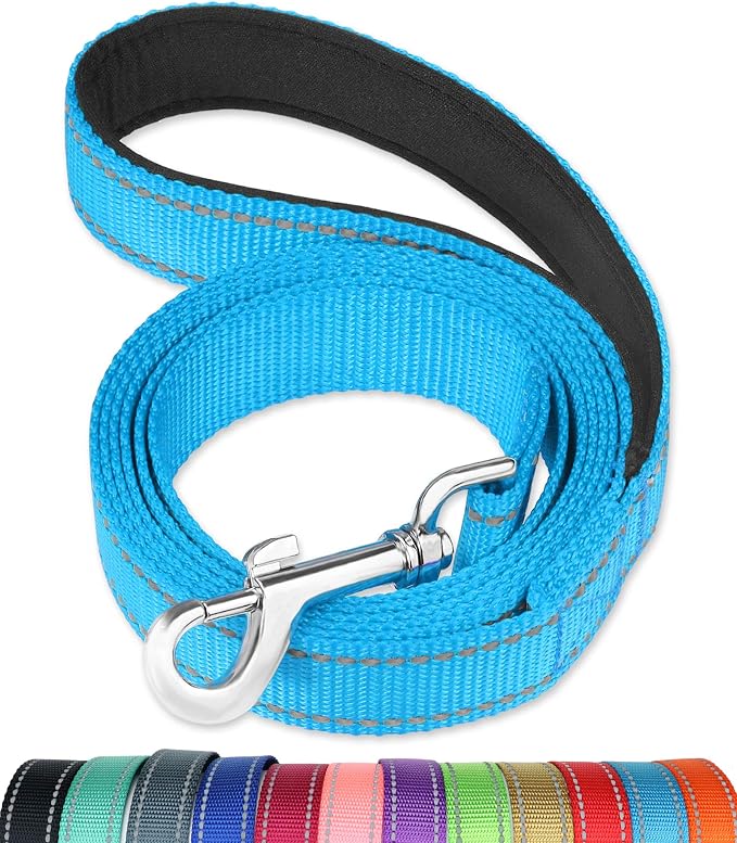 FunTags 4FT Sky Blue Reflective Dog Leash for Medium & Small Dogs Training, Soft Padded Handle Comfortable Grip, Heavy Duty Nylon, Reflective for Night Walking, 3/4in Wide