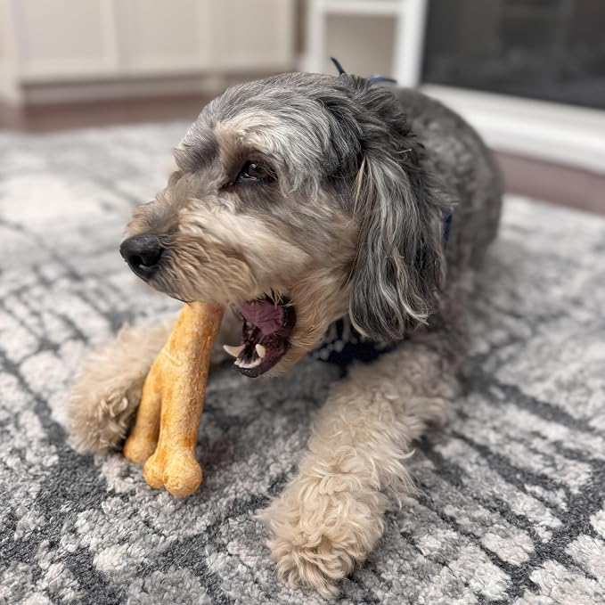 Fieldcrest Farms Nothin' to Hide Collagen-Based Dog Chews, Wishbone, Beef Flavor, Ultra-Premium, for Dogs Over 50lbs, Easily Digestible, Supports Skin, Coat, Joints & Muscles, 7-Inch, 2 Pieces