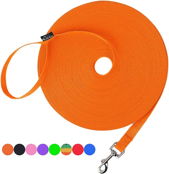 Hi Kiss Dog/Puppy Obedience Recall Training Agility Lead - 15ft 20ft 30ft 50ft 100ft Leash - Great for Training, Play, Camping, or Backyard - Orange 50ft