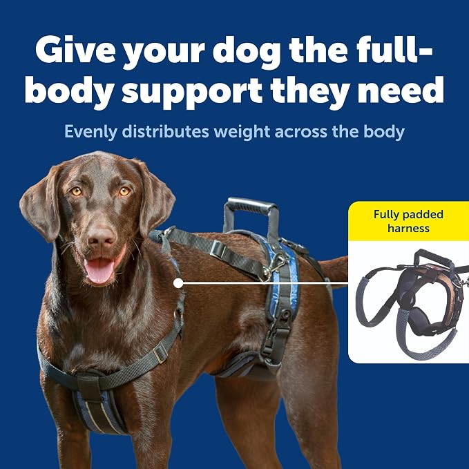 PetSafe CareLift Dog Lift Harness, Full Body Lifting & Support Sling with Handle & Shoulder Strap, Large