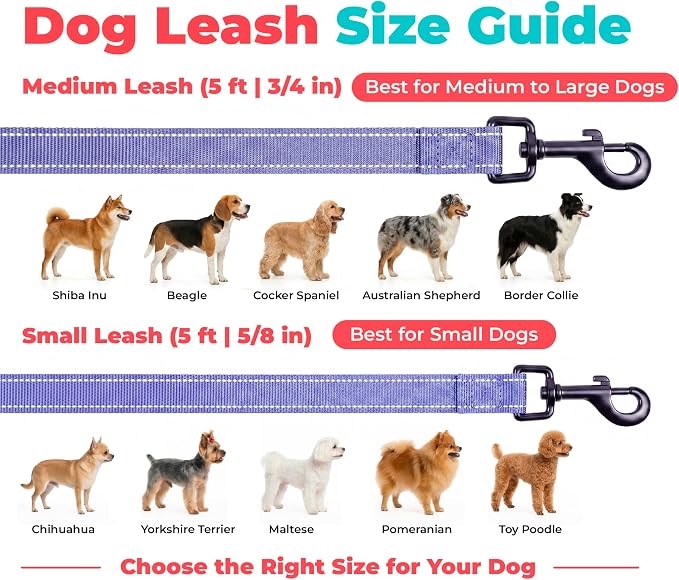 Best Pet Supplies Voyager Reflective Dog Leash or Collar with Neoprene Handle, for Small, Medium, and Large Breed Puppies, Cute and Heavy Duty for Walking, Running and Training - Lavender (Leash), S