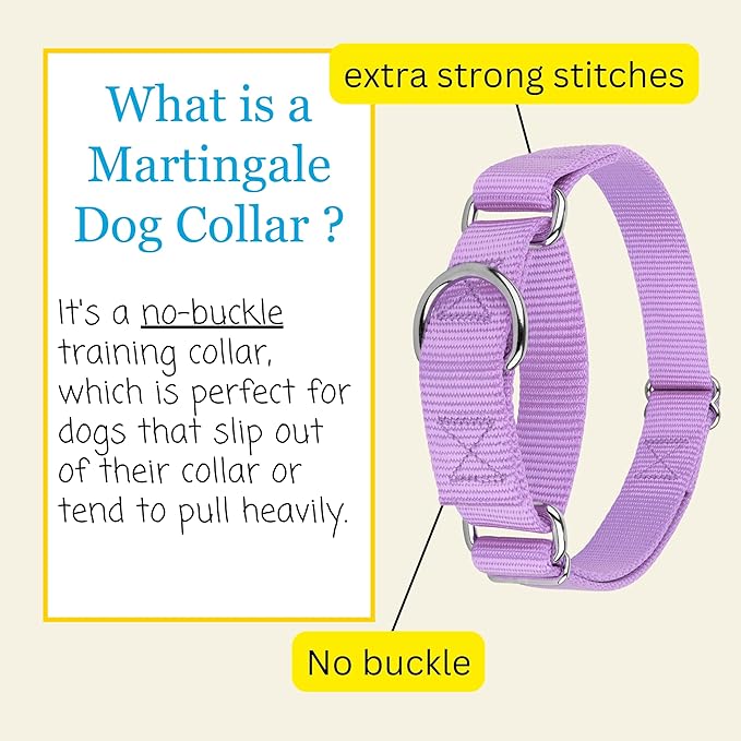 Country Brook Petz - Martingale Dog Collar - Heavy-Duty Training Collar with No Buckle - Service Dog Collar for All Pups - 20 Vibrant Colors (Lavender, 1 Inch, Extra Large)