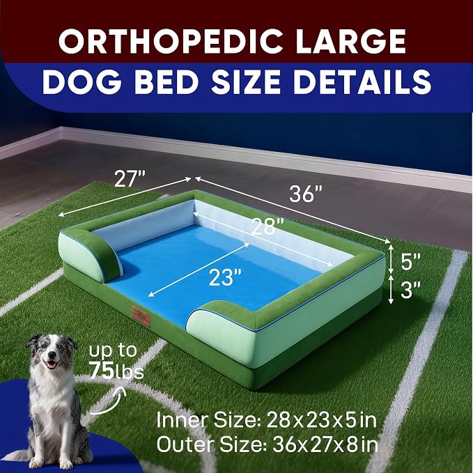 Comfort Expression Orthopedic Dog Bed for Large Dogs 36x27 Inch, Waterproof Egg Crate Foam Large Pet Bed with Bolsters, Dog Couch with Washable Cover & Non-Slip Bottom, Boston