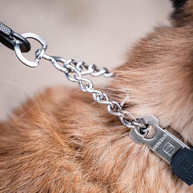 Herm Sprenger Stainless Steel Dog Collar with Short Links and Quick Release ClicLock Buckle Made in Germany (Stainless Steel, 20in x 3.0mm (Neck Size up to 16-17in))