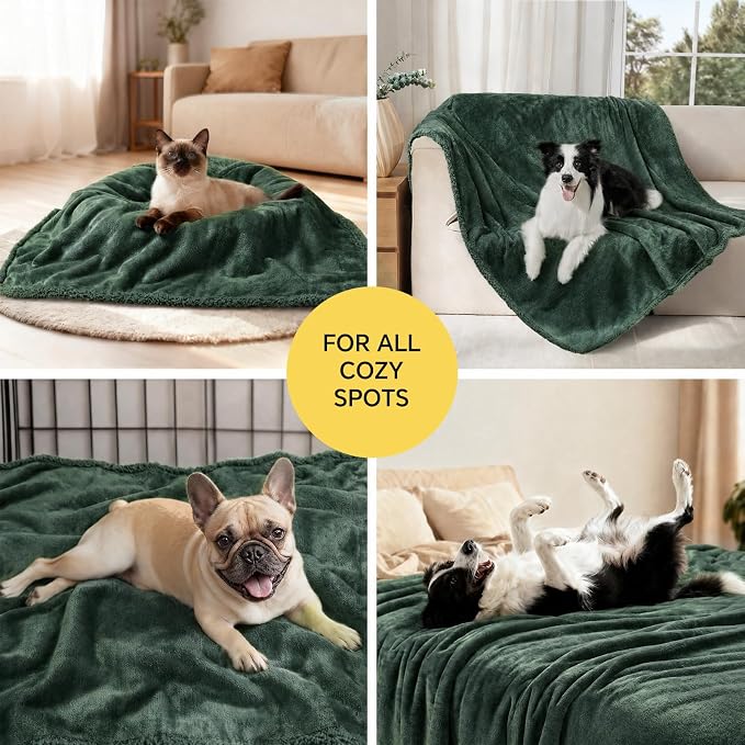 Luciphia Waterproof Pet Blanket, Liquid Pee Proof Dog Blanket for Sofa Bed Couch, Reversible Sherpa Fleece Furniture Protector Cover for Small Medium Large Dogs Cats, Dark Green Large（65" x 57"）