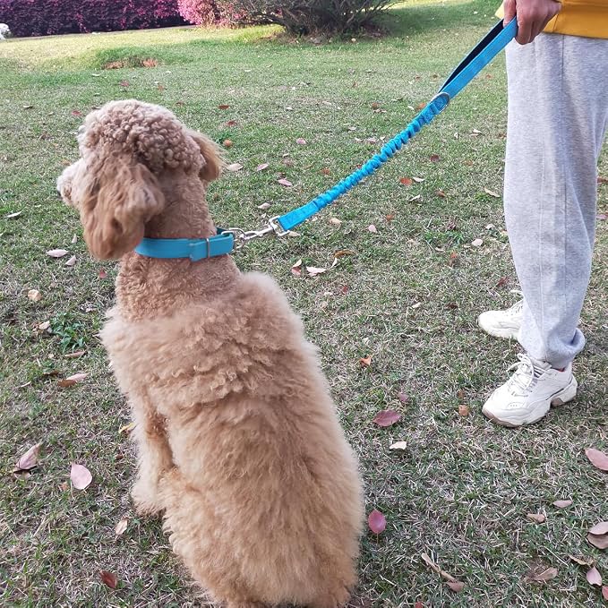2FT Bungee Dog Leash, Highly Reflective Strong Nylon Traffic Leash, Shock Absorbing Short Pet Lead for Large Medium Dogs Walking Training Controlling, Blue