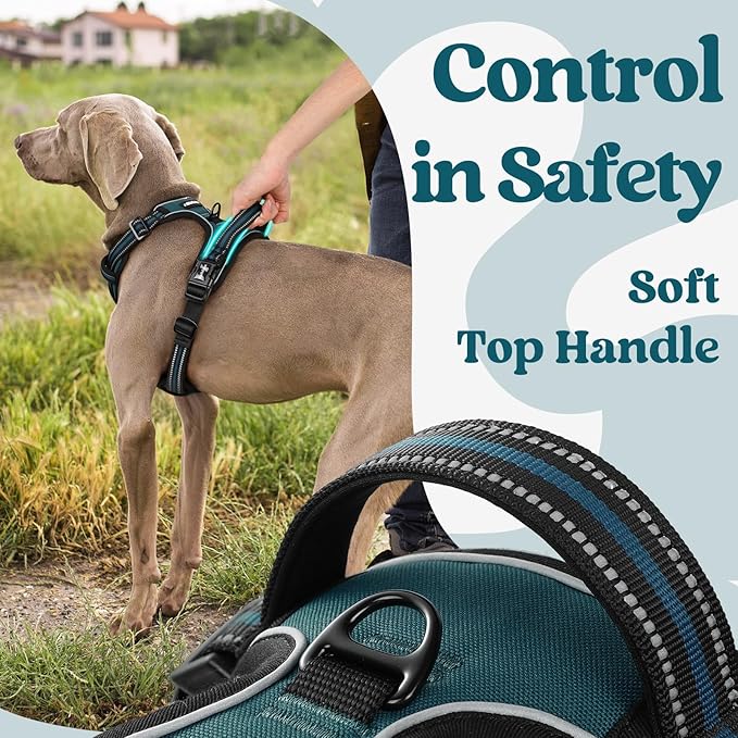 rabbitgoo Dog Harness for Large, No Pull Easy On & Off with 3 Buckles Pet Harness, Adjustable Soft Walking Vest with 2 Clips and Handle, Reflective for Large Dogs, Blue Coral, L