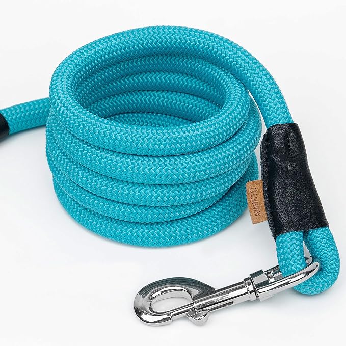 Dog Leash, Braided Rope Traction – Walking Training Lead for Small Dogs ((1/3") x 6FT, Light Blue)