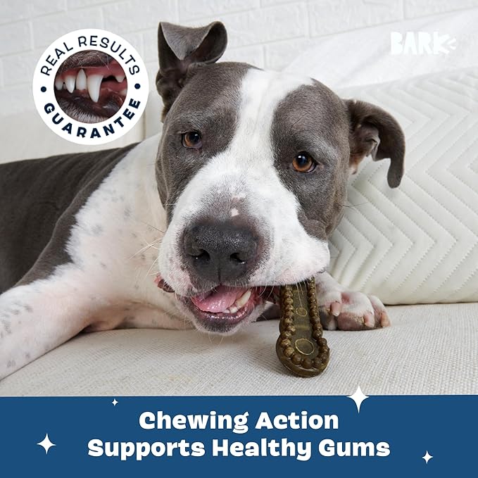 Barkbox Bright Durable Dog Dental Chew Sticks - 15 Dental Chews for Dogs - for Large Breeds (50+ lbs)