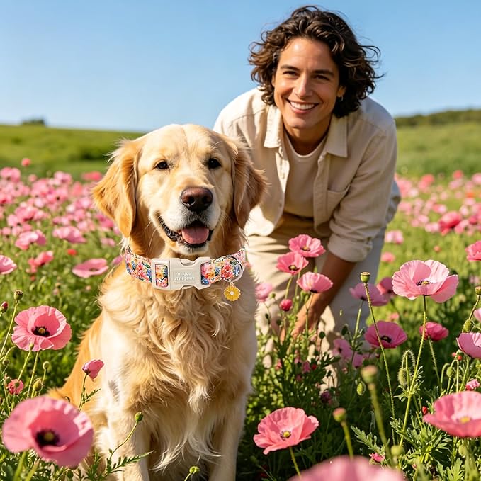 Unique style paws Dog Collar Plastic Buckle with Pendant Colorful Flower Puppy Collar for Spring Summer Blossoms Floral for Small Medium Large Boys Girls Dogs