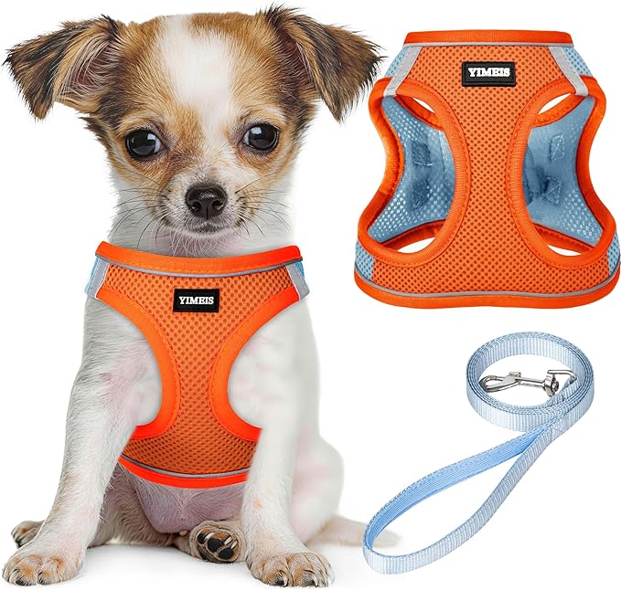 YIMEIS Dog Harness and Leash Set, No Pull Soft Mesh Pet Harness, Reflective Adjustable Puppy Vest for Small Medium Large Dogs, Cats (Orangeblue, X-Small (Pack of 1)