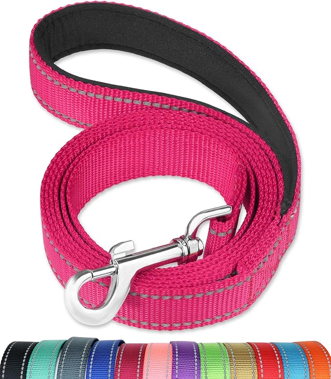 FunTags 6FT Hot Pink Reflective Dog Leash for Medium & Small Dogs Walking, Soft Padded Handle Comfortable Grip, Heavy Duty Nylon, Reflective for Night Walking, 3/4in Wide