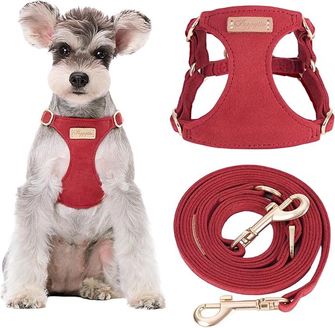 Puppytie Small Dog Harness with Multifunction Dog Leash,Lightweight Soft Adjustable No Choke Escape Proof Pet Harness Vest Pet Harness Vest,red Hawthorn,S