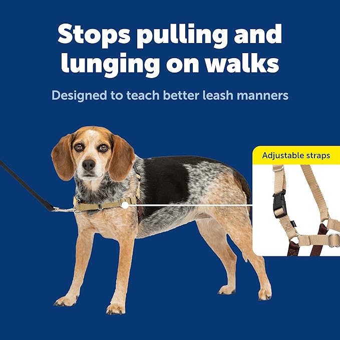 PetSafe Easy Walk No-Pull Dog Harness - Ultimate Harness to Help Stop Pulling - Pull-Free Walks - Take Control & Teach Better Leash Manners - Patented Martingale Loop Design - Fawn, Small/Medium