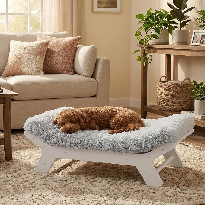 Muihood Wood Elevated Dog Bed Frame and Egg Crate Foam Mattress, Luxurious Suitable for Pets Up to 55 lbs, White, M