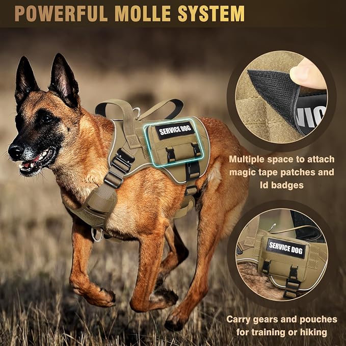 WINSEE Tactical Dog Harness for Medium Dog, Heavy Duty Service Working MOLLE Vest with 10 Pet Patches, 2X Metal Buckle Vest for Training Hunting Walking