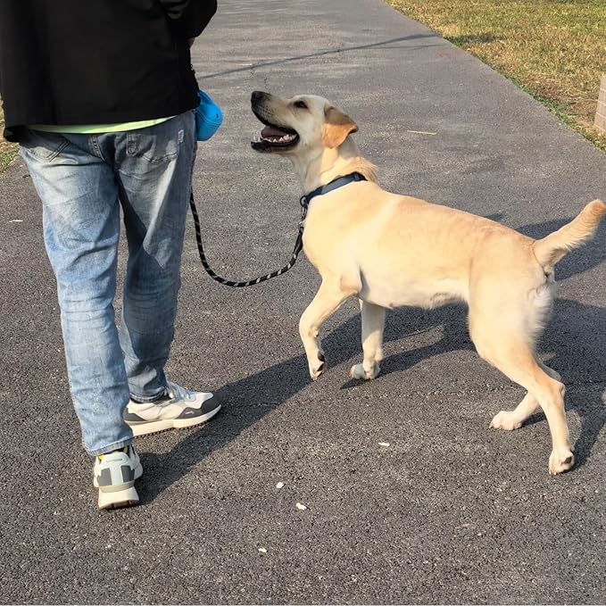 ZALER Rope Dog Leash, 4/5/6/10/15/20/30/50 Foot Reflective Dog Leashes with Carabiner, Heavy Duty Pet Lead for Large and Medium Dogs (4FT, Black)