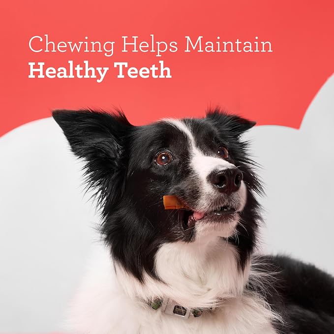 DreamBone Chicken RattleBall Dog Treats, Daily Rawhide-Free Chew, Digests Safely, With Real Protein, Chicken and Veggies, 14 count