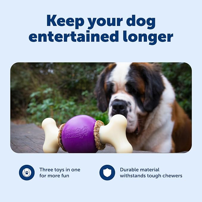 PetSafe Busy Buddy Bouncy Bone, Treat Holding Dog Toy, Small, Best for Dogs Up to 10 Lb.