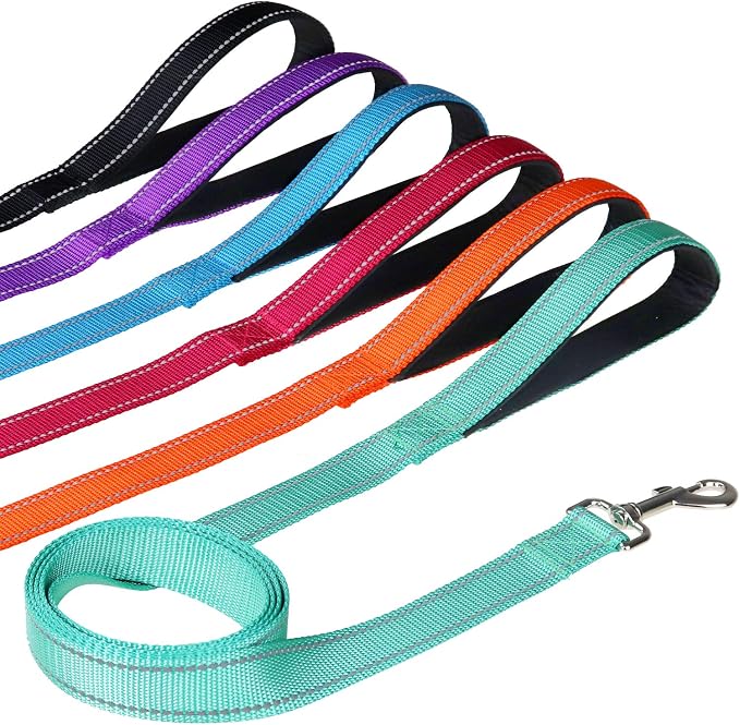 FunTags 6FT Royal Blue Reflective Dog Leash for Large & Medium Dogs Walking, Soft Padded Handle Comfortable Grip, Heavy Duty Nylon, Reflective for Night Walking, 1in Wide