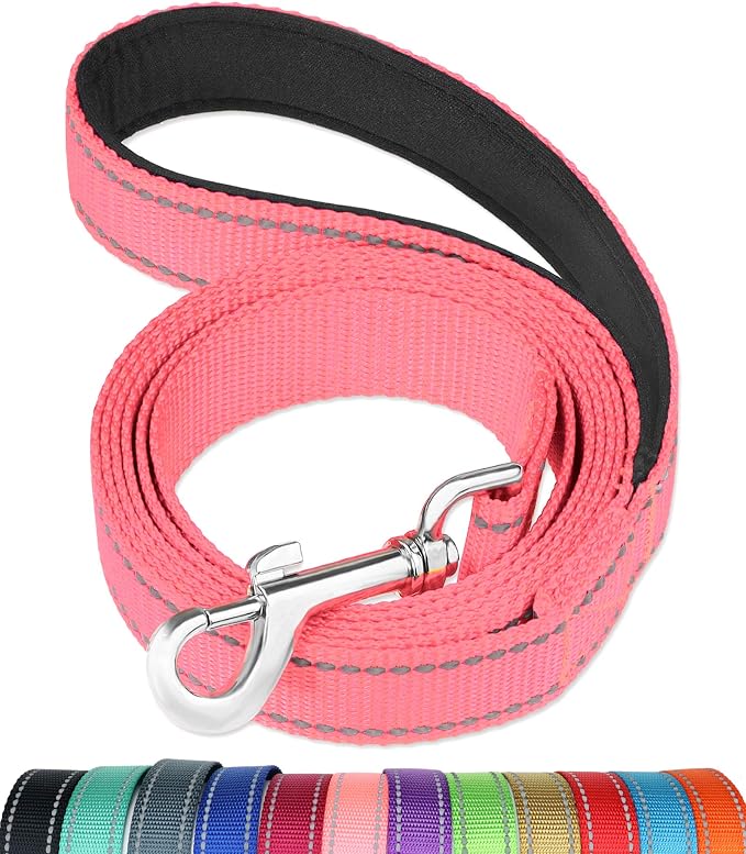 FunTags 6FT Neon Pink Reflective Dog Leash for Large & Medium Dogs Walking, Soft Padded Handle Comfortable Grip, Heavy Duty Nylon, Reflective for Night Walking, 1in Wide