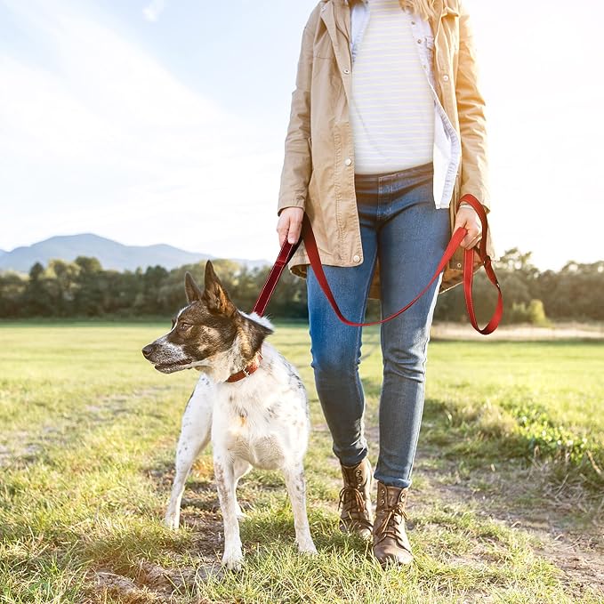 TwoEar 4FT 1IN Strong Red Dog Leash with 2 Padded Handles, Traffic Handle Extra Control, Comfortable Soft Dual Handle, Auto Lock Hook, Reflective Walking Lead for Small Medium and Large Dogs