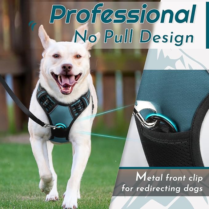 Eagloo Dog Harness Small Sized Dog, No Pull Service Vest with Reflective Strips and Control Handle, Adjustable and Comfortable for Walking, No Choke Pet Harness with 2 Metal Rings, Dark Green, S