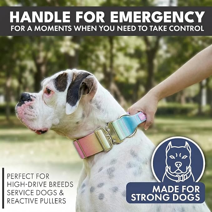 Spark Paws Tactical Dog Collar - Heavy Duty, Premium Quality, Thick and Durable for Large and Medium Dogs - Pastel Icing - XS - 1"