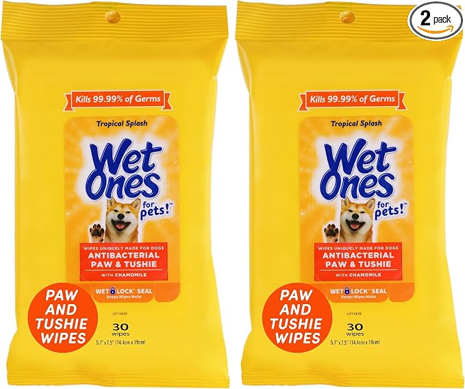 Wet Ones Dog Wipes, Pack of 2, 30 Count Total | Paw & Tushie | Tropical Splash Scent | Wet Lock Seal Pouch | With Chamomile